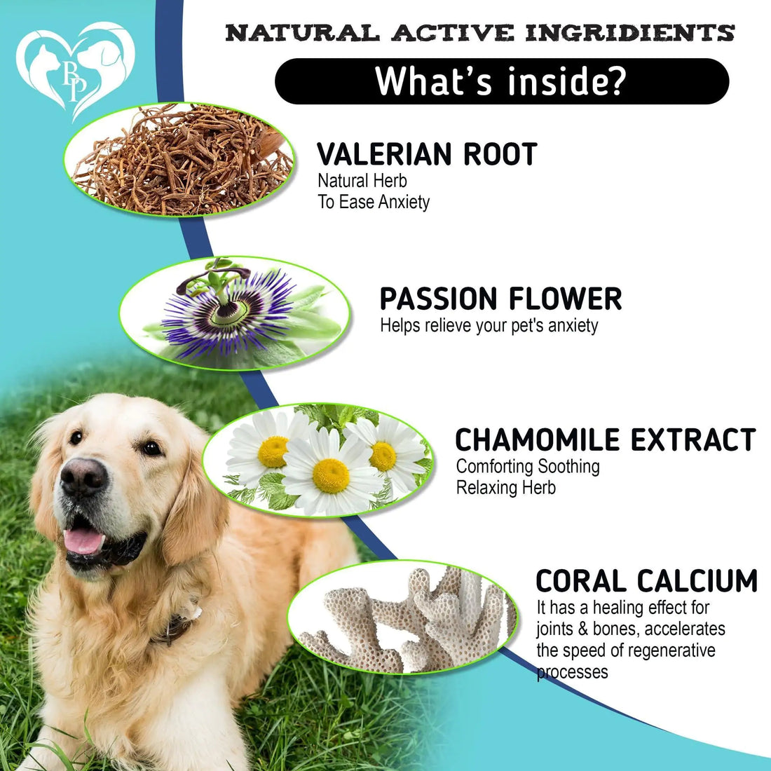 Hemp Calming Chews for Dogs – Separation Anxiety Relief Treats