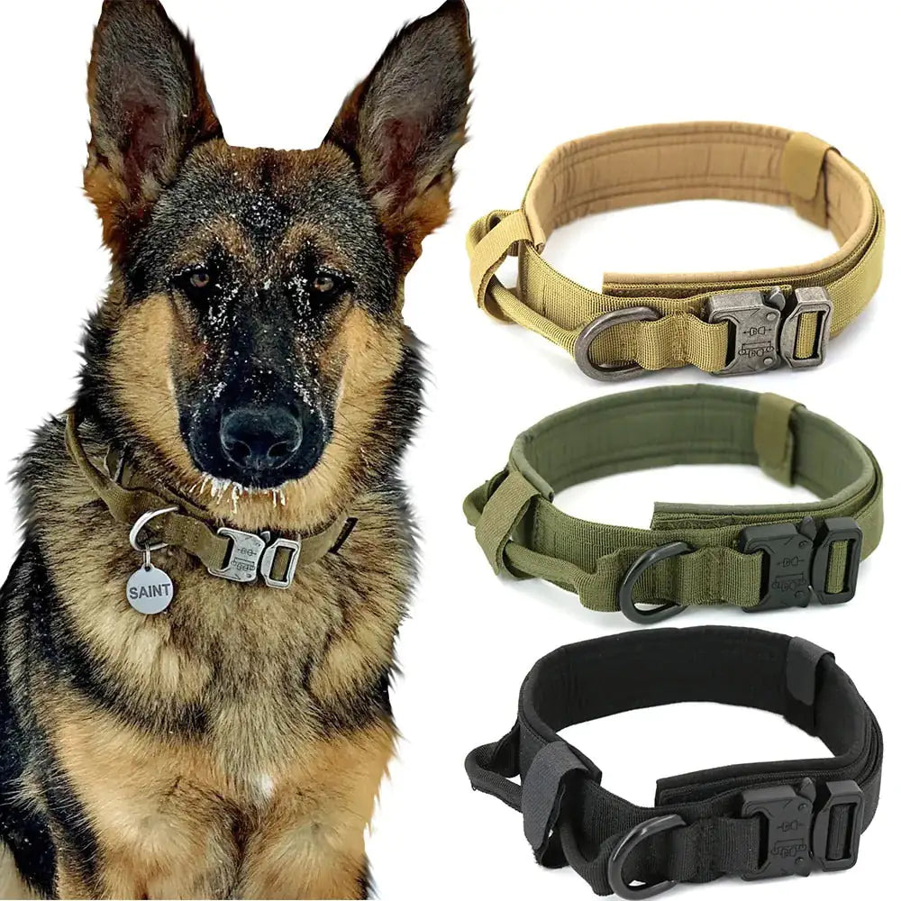 Adjustable & Stylish Pet Collar for All Breeds