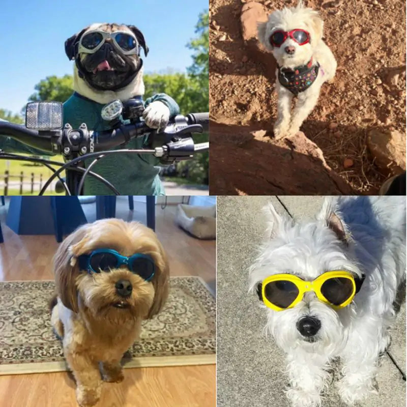 Dog Sunglasses – Stylish UV Protection for Dogs