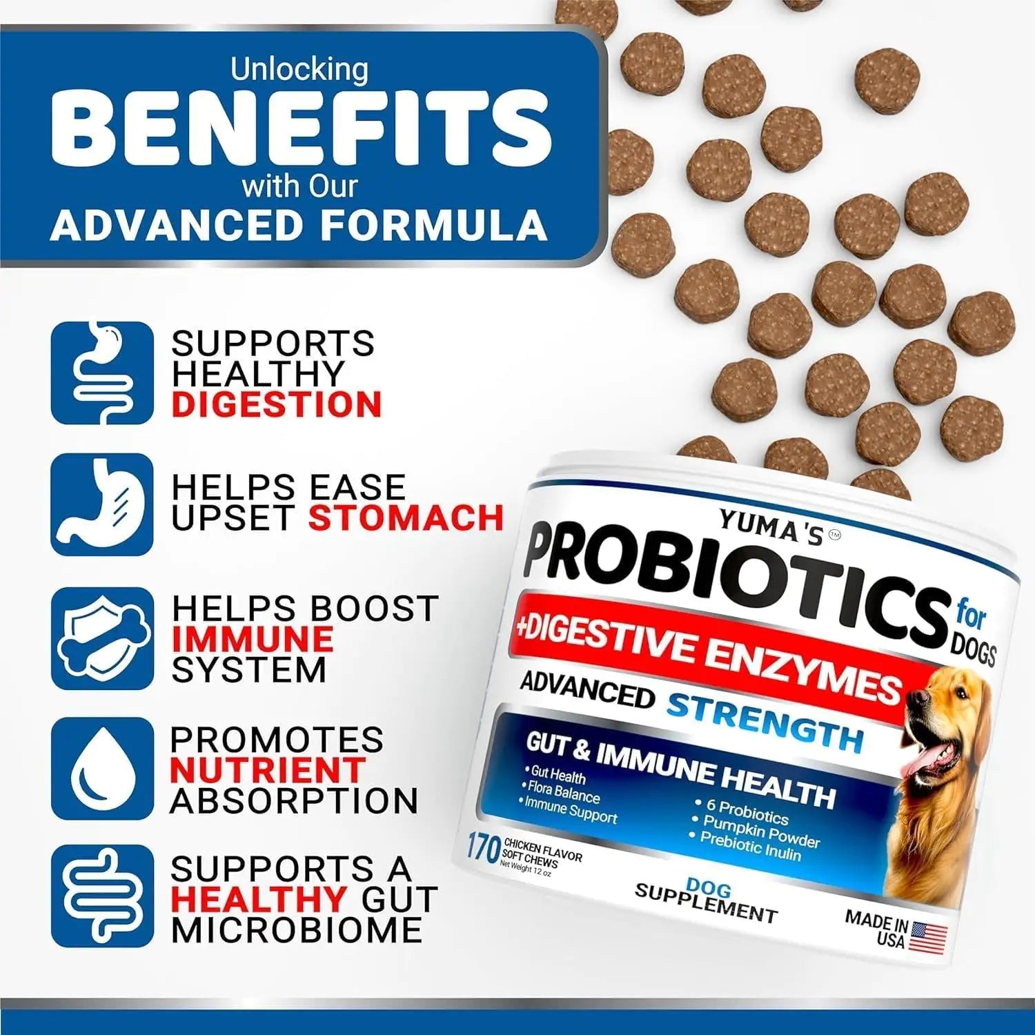 best probiotic for dogs