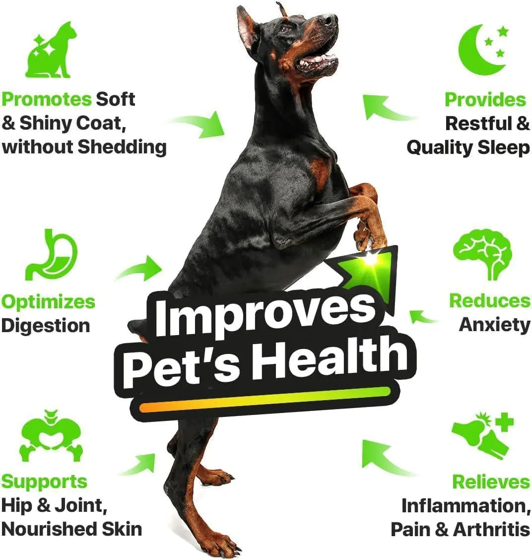 Zesty Salmon Oil for Dogs – Skin & Coat Health with Omega 3-6-9