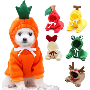 Cute Fruit Pattern Dog Sweater for Cold Weather