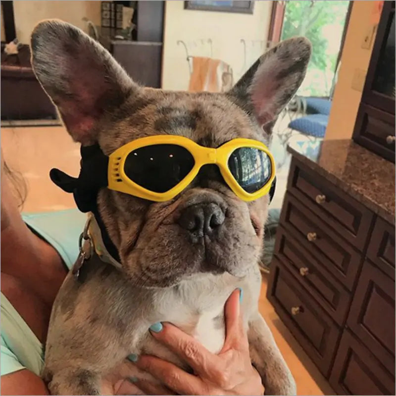 Dog Sunglasses – Stylish UV Protection for Dogs