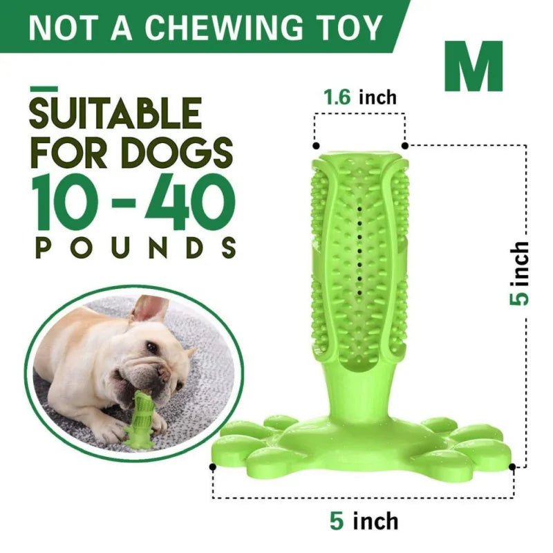 Rubber Dog Chew Toys – Durable &amp; Safe Chew Toys for Healthy Teeth