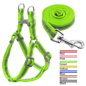 Durable & Comfortable Leash and Harness Combo for Dogs