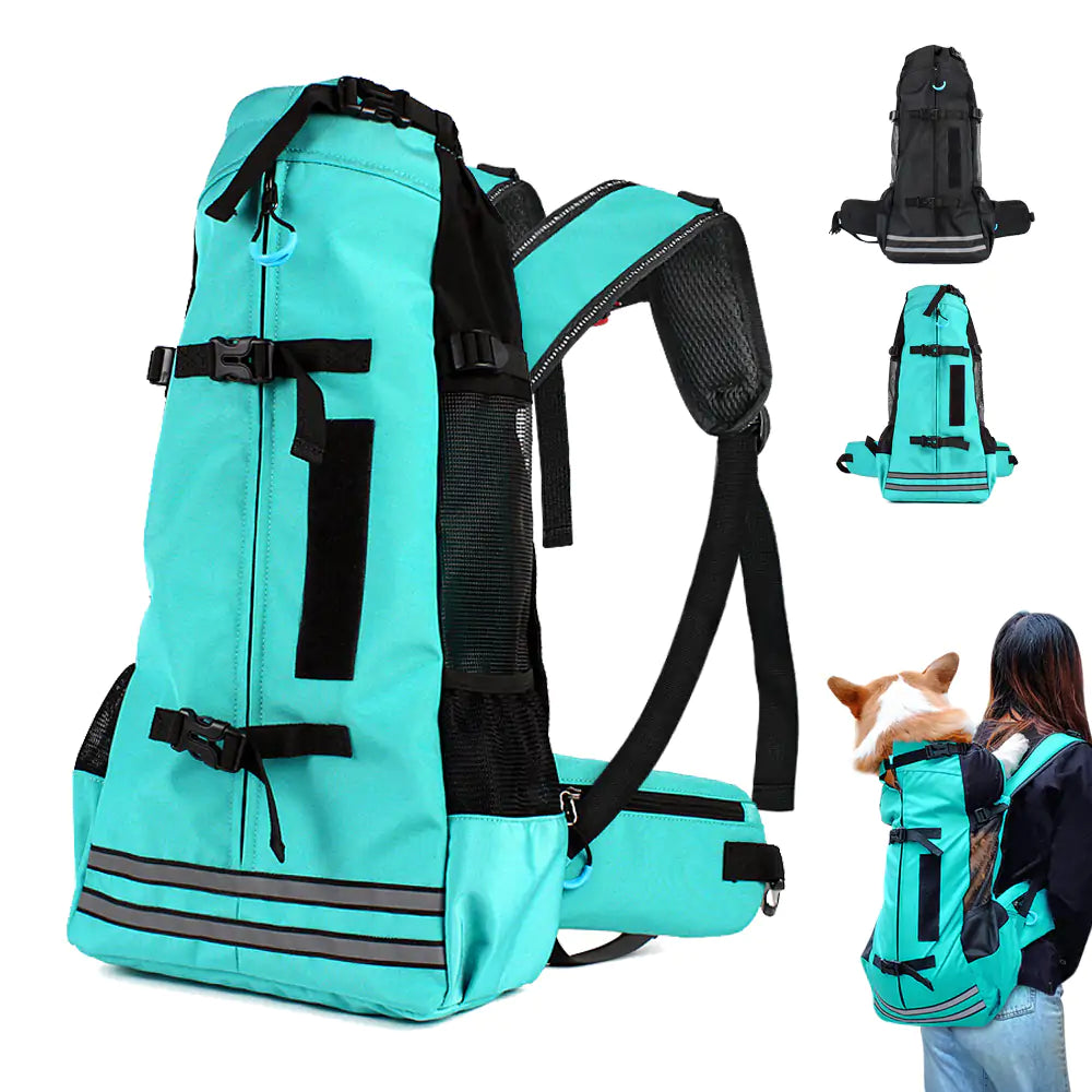 Comfortable & Stylish Pet Carrier for Travel and Transport