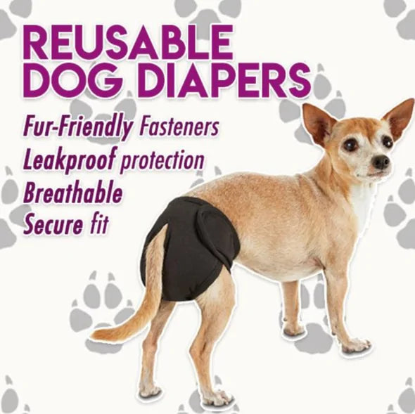 Washable Dog Diaper for Comfortable and Eco-Friendly Protection