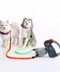 dog collar leash.2