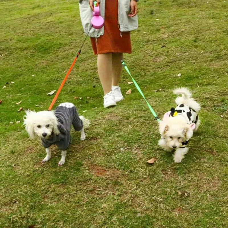 dog leash and collar set​

