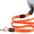 dog leash and collar set​.2

