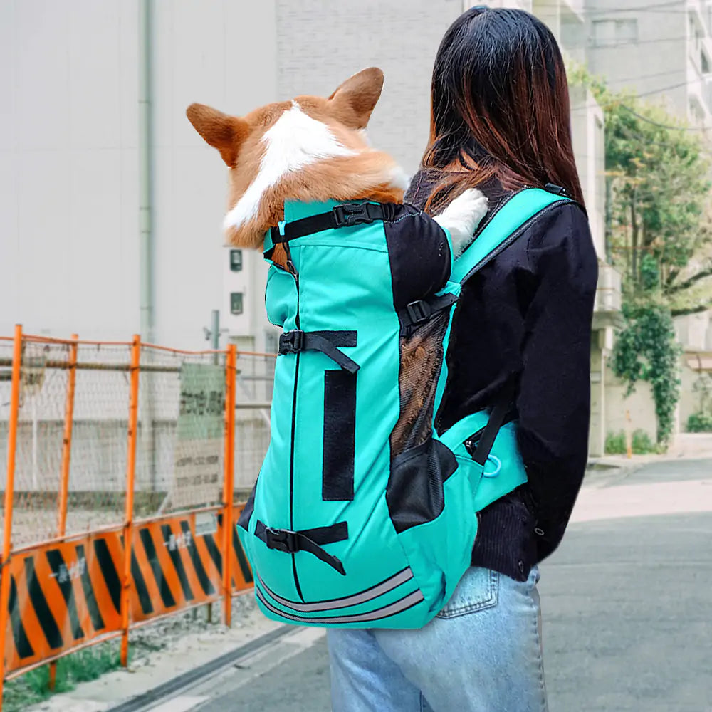 Comfortable &amp; Stylish Pet Carrier for Travel and Transport