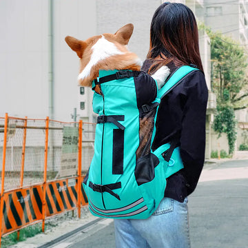 Comfortable & Stylish Pet Carrier for Travel and Transport