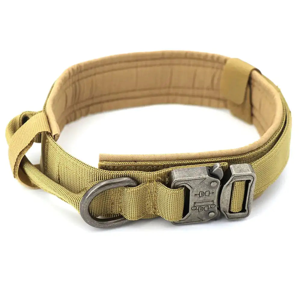 Adjustable &amp; Stylish Pet Collar for All Breeds