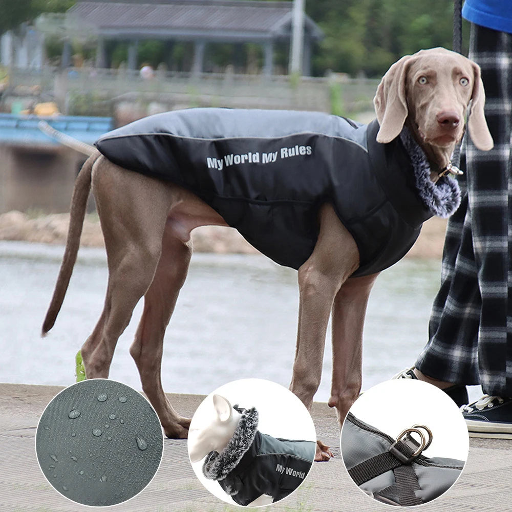 Waterproof Cotton Coat for Dogs – Stylish and Cozy