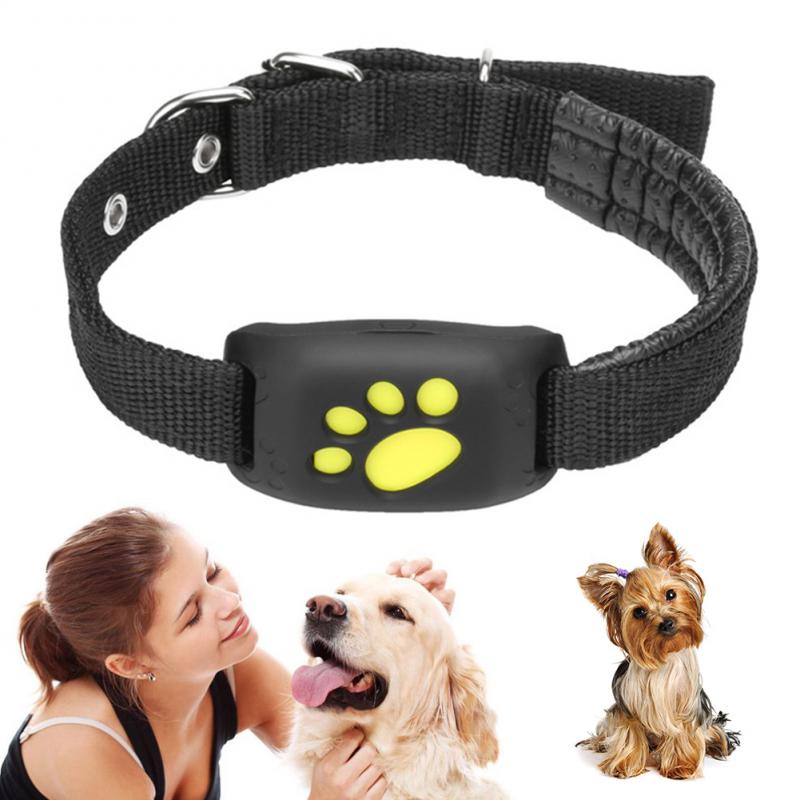 - The Ultimate Security Tool for Every Pet Parent